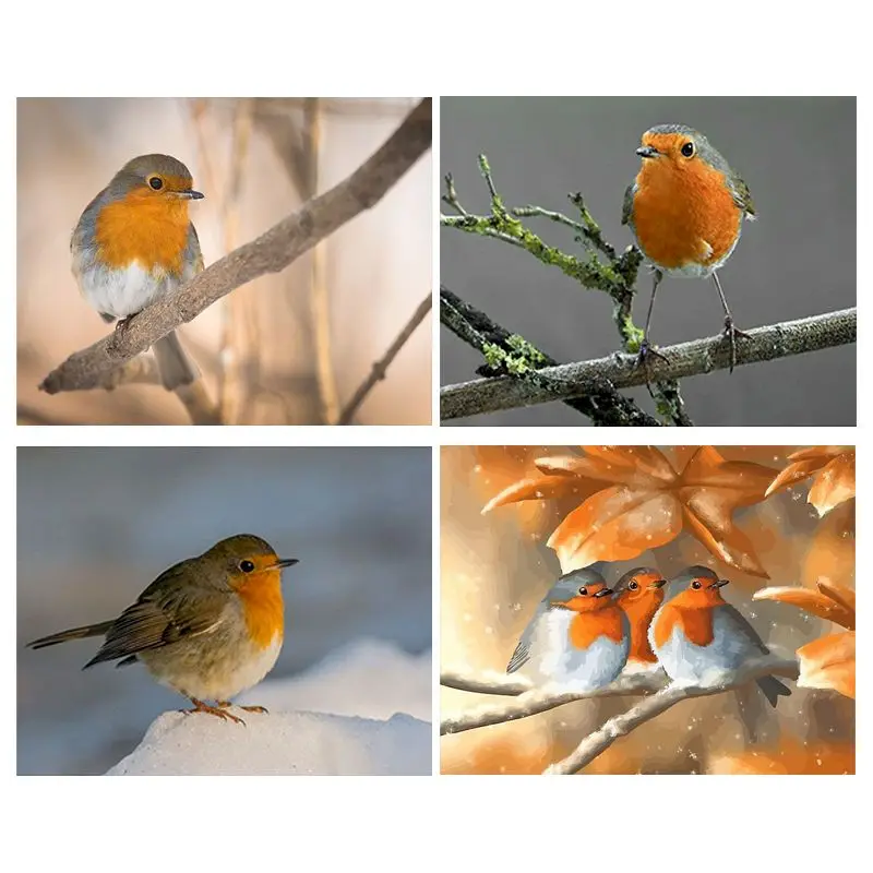 

GATYZTORY DIY Painting By Numbers Bird 60x75cm Acrylic Pictures By Numbers Animals Frameless Draw Painting On Canvas Unique Gift