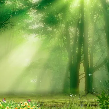 

Green forest travelling vlog photo background vinyl children portrait photography backdrops for photo studio accessories F-1048