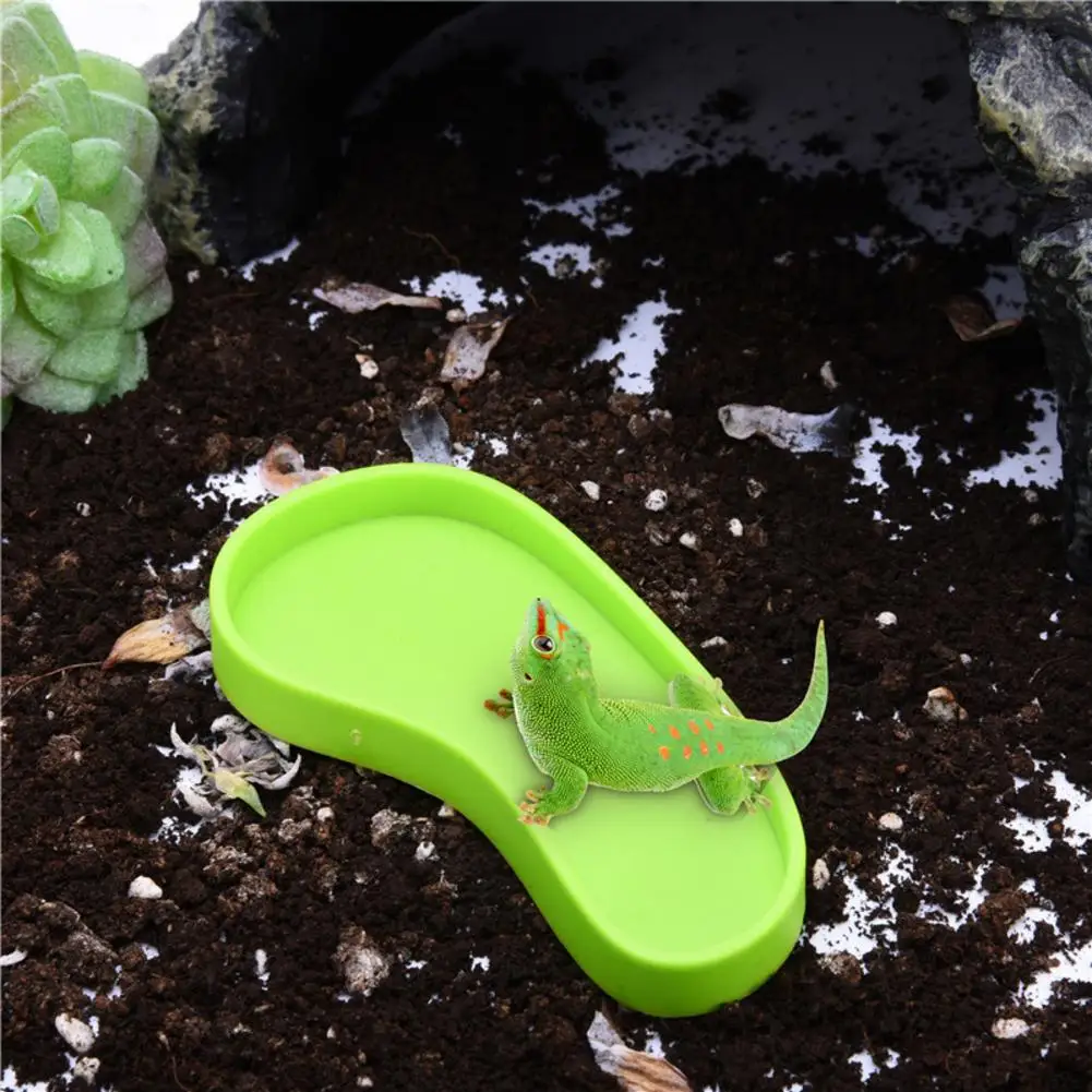 Reptile Water Dish Bowl Plastic Meal Worm Feeder NW03 Reptiles