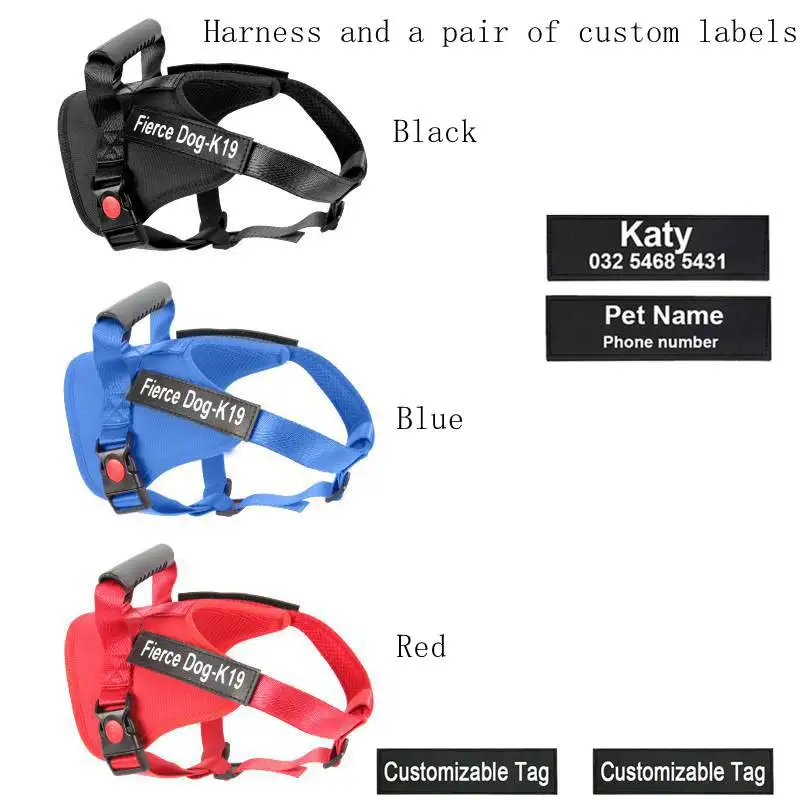 14376045356_1937179884