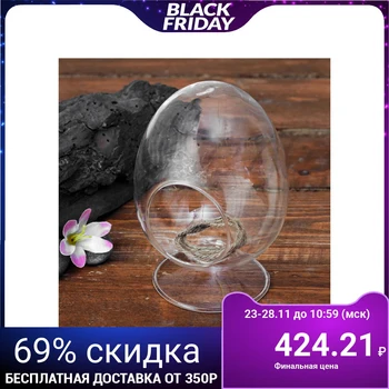 

Florarium "oval" (D-5. 5 cm) 10*15 cm