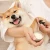 The Paws Cream Balm Pet Paws Cracked Prevent Dry Nose Wax Pet Frostbite Cream Moisture Care Cream 60G For Cat Dog