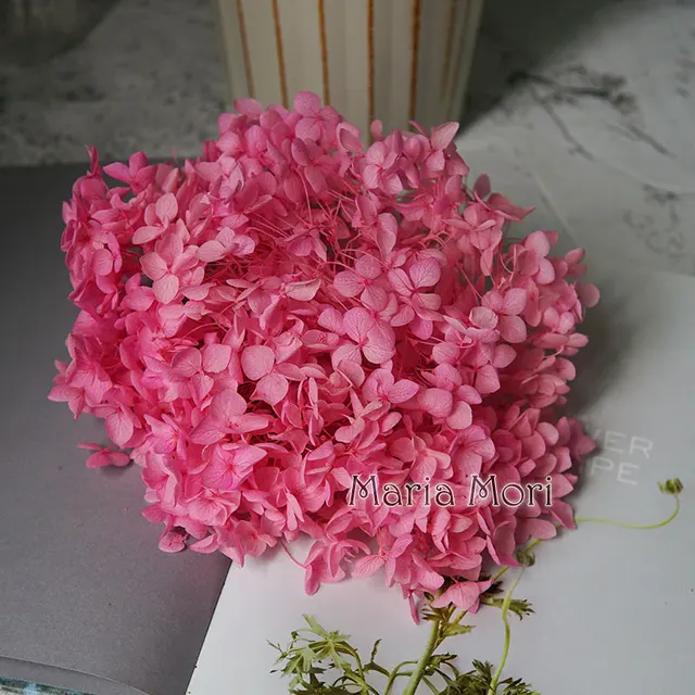 Anna Hydrangea  Flowers  Little  Leaves Preserved Hydrangea Decor  Office Decor  DIY Flowers Color 69