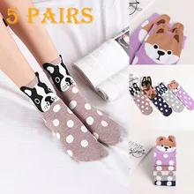 Милые носки, Женский комплект, 5 пар, с рисунком, прямые, женские носки, для взрослых, с милыми животными, в горошек, stopki skarpetki damskie# y2