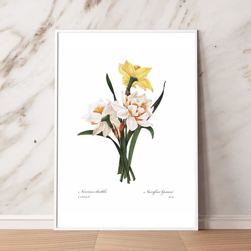 Daffodil-Botanical-Canvas-Poster-Spring-Wall-Decorative-Picture-Kitchen-Cottage-Bedroom-Painting-Prints-French-Living-Room (3)