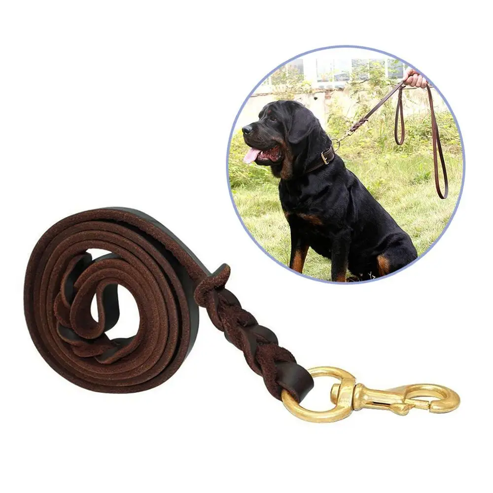 Braided Leather Dog Leash DIY  Learn how to braid a leather dog