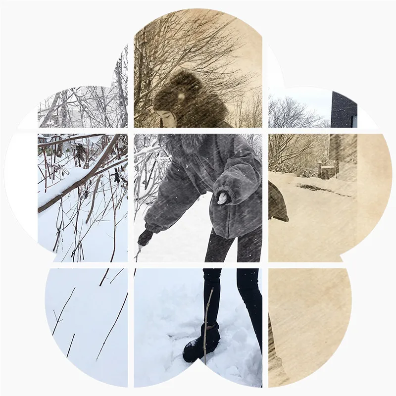 

Large Fur Collar Short Waist Hugging Cotton Coat High Cold Elegant WOMEN'S Coat Winter New Style