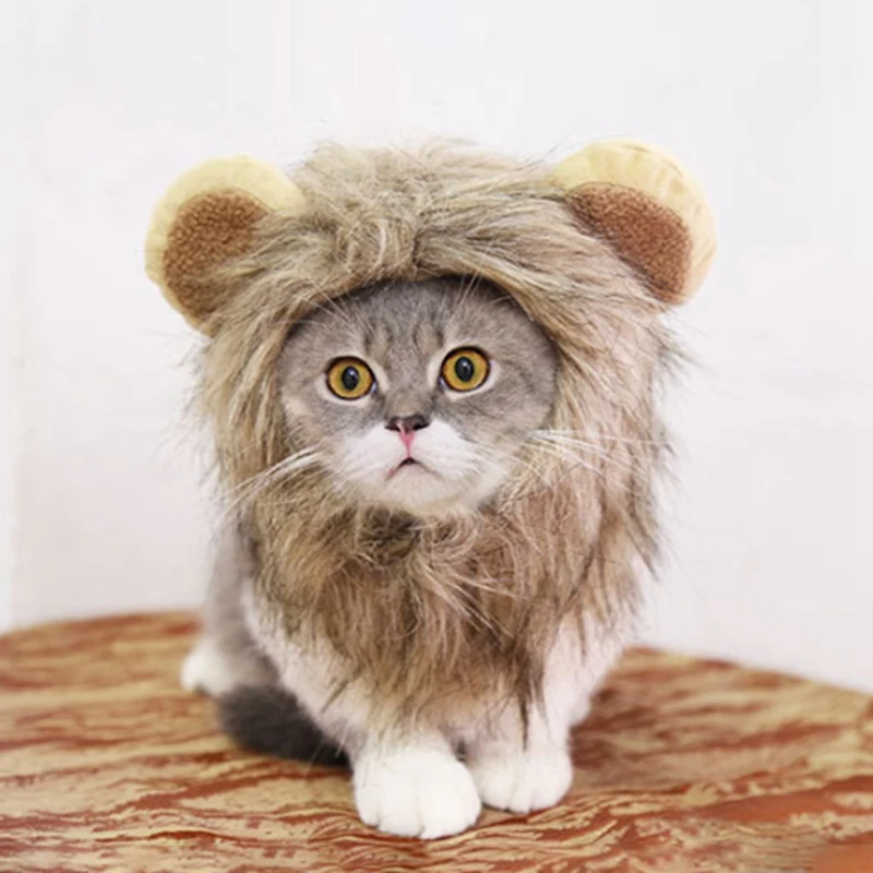 Вечерние костюмы для косплея с ушками для кошек аксессуары для волос для домашних животных парик для кошек или маленьких собак