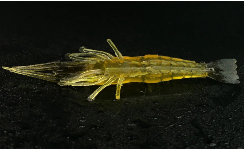 Simulation-shrimp-Soft-Bait_06