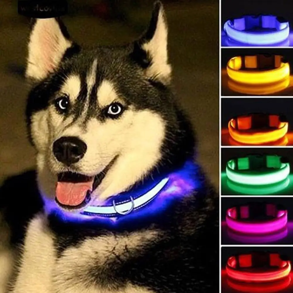 MeterMall Pet Cat Dog Collar Night Safety Luminous Necklaces For Outdoor Walking