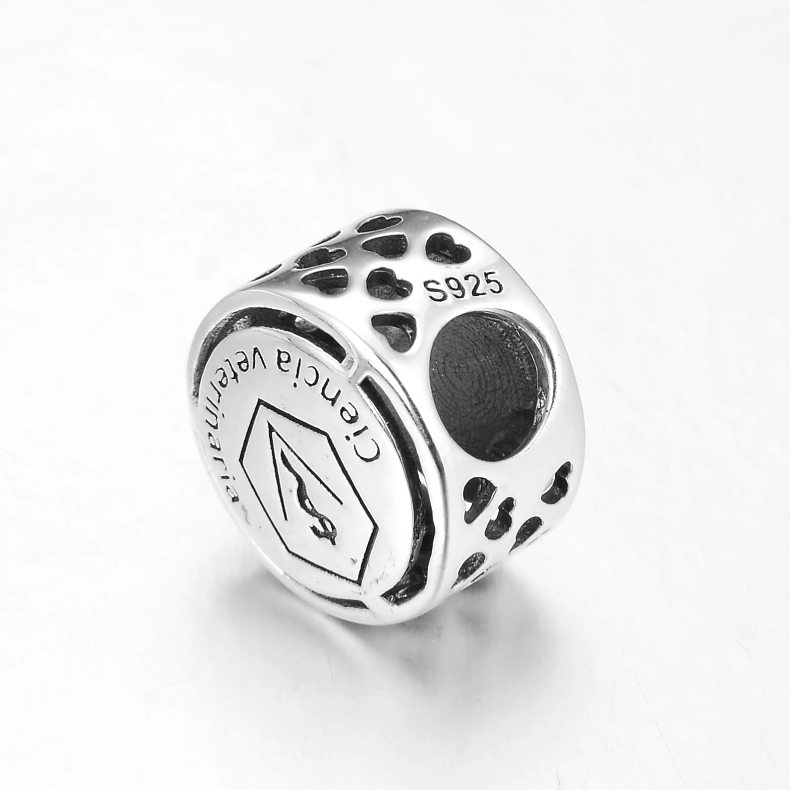 925 пробы серебро успешно карьера Ветеринария бусины аксессуары подходят Pandora ювелирные изделия с бриллиантами изготовления