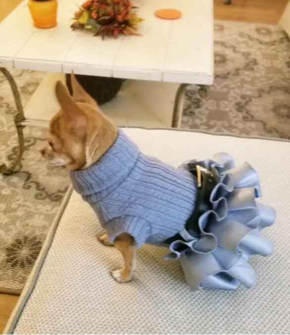 Платья для собак, пальто, Осенний теплый вязаный свитер с воротником-стойкой, топ, юбка-пачка с кошкой, одежда для маленьких собак, XS, s, m, l, xl