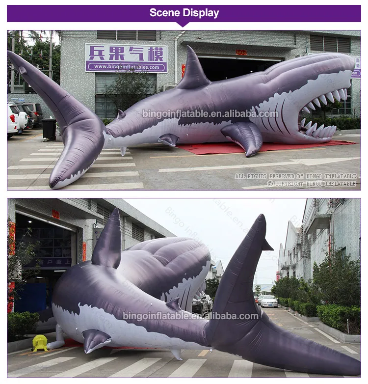 BG-O0103-Inflatable Shark_2