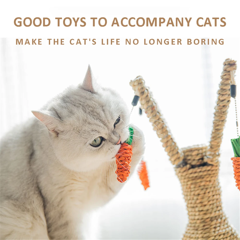 s shaped scratching post