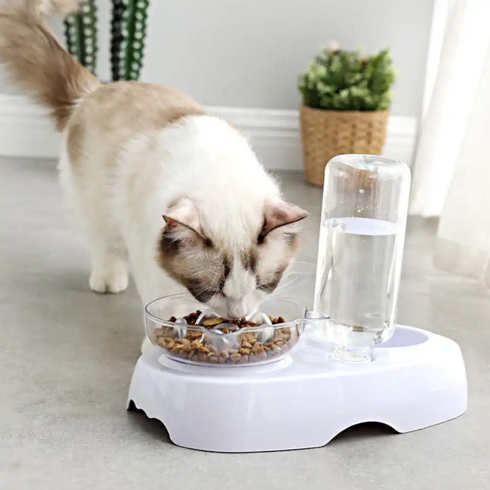cat feeding plate