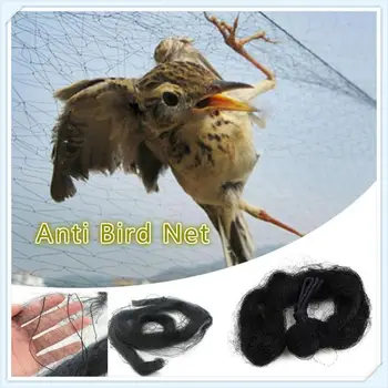 

Outdoor Effective Black Nylon Anti Bird Net Bird-Preventing Netting Mesh For Agriculture Fruit Crop Plant Tree Safe Garden Tools