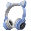 Earphones & Headphones