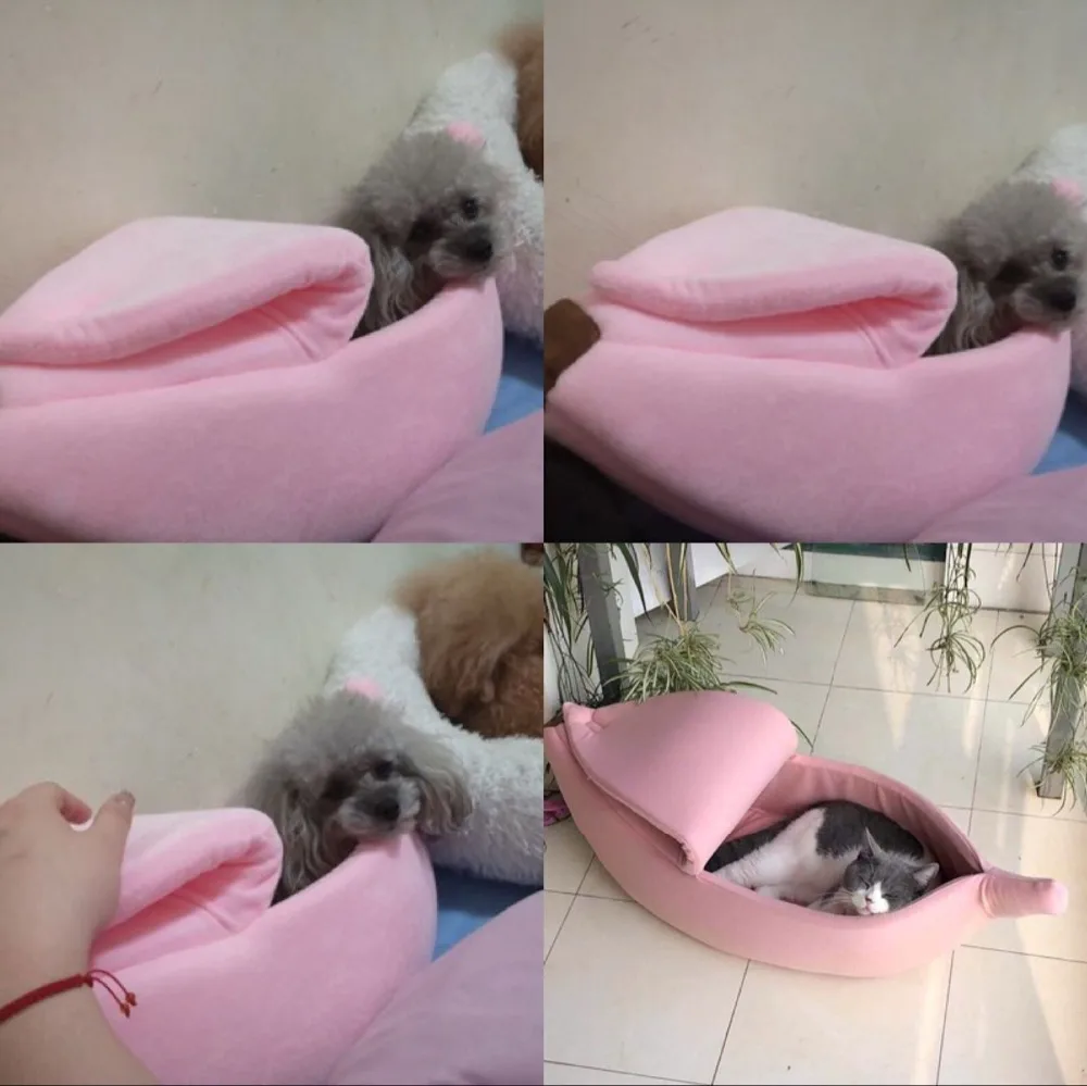 QQ图片20190910135334