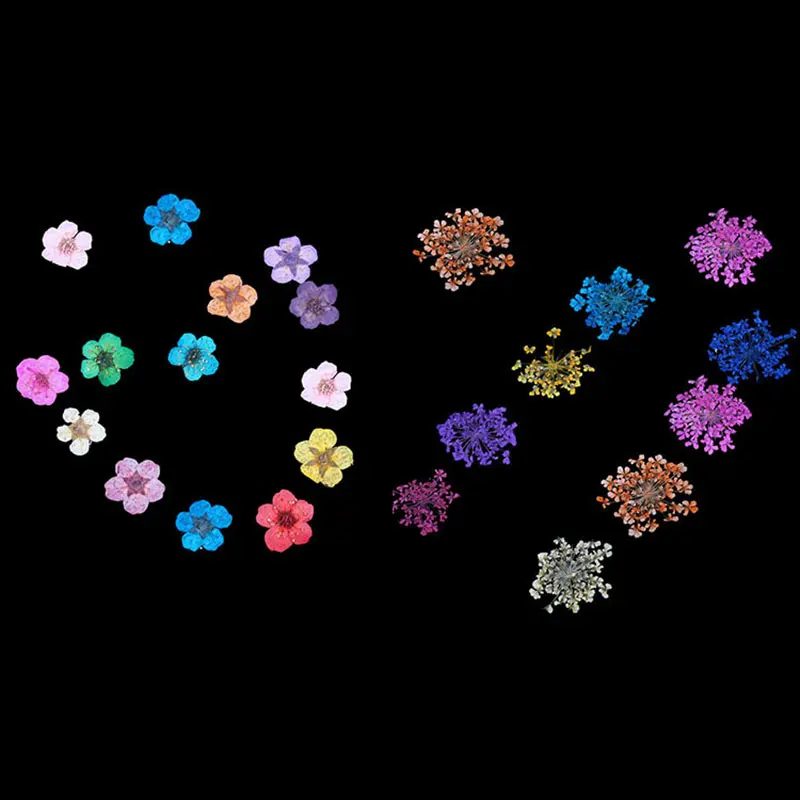 Newly 12 Colors DIY Nail Art Mixed Dried Flowers With Bottle 3D Dry Flower Decoration Nails Stickers Manicure Tips CTN88