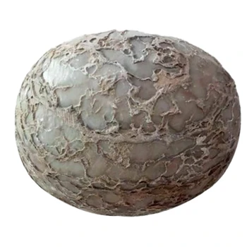

Dinosaur Egg Fossilized Crystallized Fossil Jurassic Cretaceous World Crafts