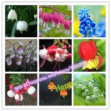 Ограниченное предложение! 300 шт 9 видов фуксии бонсай секретные подарки, настоящие цветочные растения для дома и сада