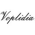 Voplidia Store