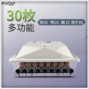 

ProQgf 1Pcs A Set 30pcs chicken Egg Incubator Hatcher
