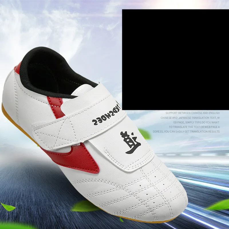 9209529302_149782596_副本