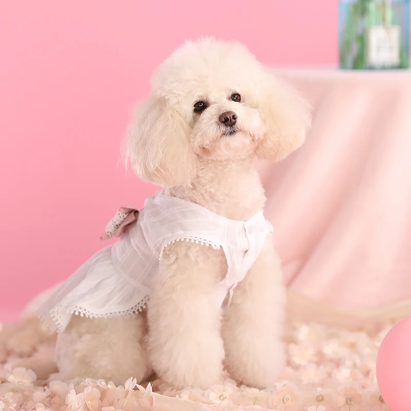HOOPET Clothes For Small Dogs Princess Dress For Dogs Lace Tullle Pet Dress York Dog Clothes Cat Bargains Comfortable Dog