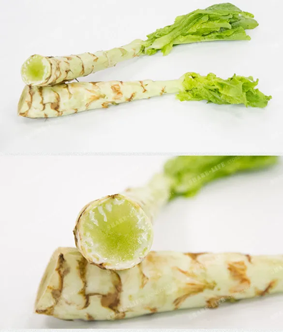 100 шт Спаржевый салат бонсай очень вкусный органический китайский Celtuce Семена овощей для выращивания в комнатных условиях домашний сад Lactuca Sativa завод