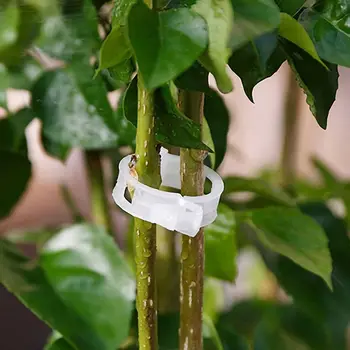 

50pcs/100pcs 30mm Plastic Plant Support Clips For Garden Plants Hanging Vine Greenhouse Vegetables