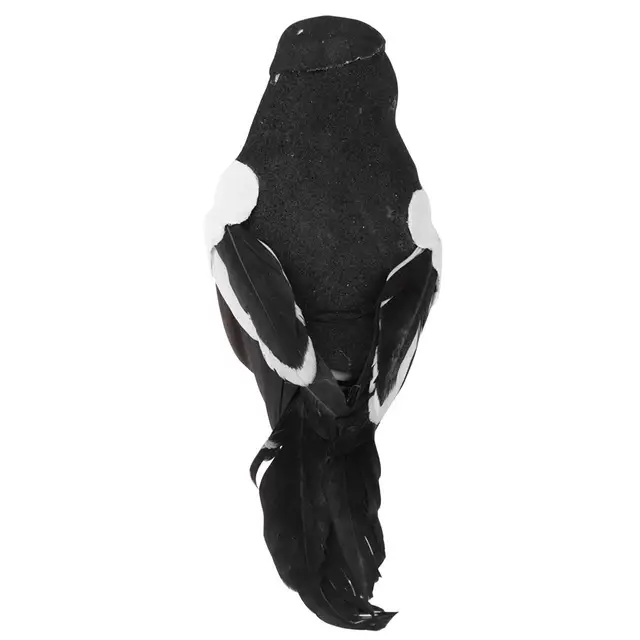 1Pc Kézzel Készített Hab Toll Mesterséges Papagáj Utánzás Madármodell Figura Madarak Otthoni Kerti Dekoráció Dísz - Image 6