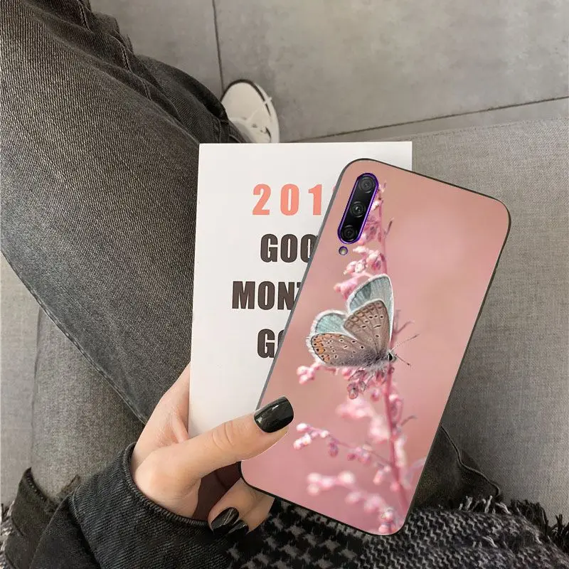 Red butterfly on white roses flower