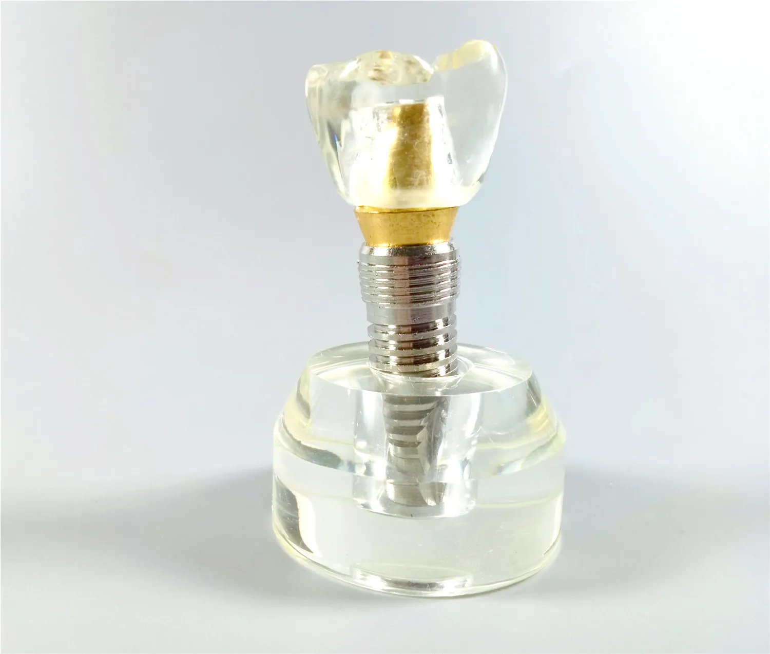 

Dental Study Model Abutment Teeth Crown Teaching Student Crystal Tool Implant Planting