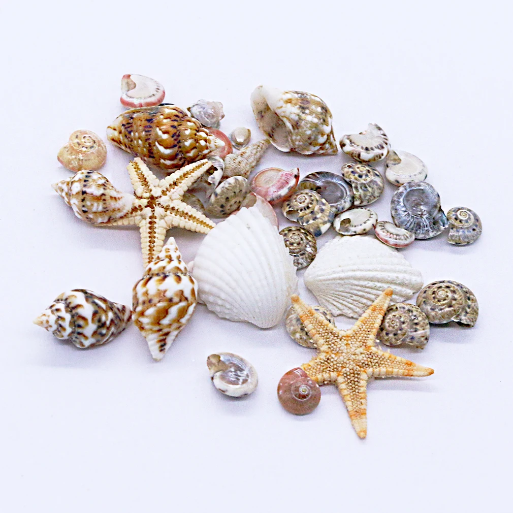 

Marine Series Beach Sea Shells Conch Starfish 3D Nail Art Decoration Manicure DIY Art Nail Decoration Stickers