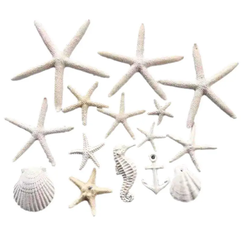 Get Etoile de mer decoration For Android Free