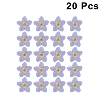 

20Pcs Dried Flower Dried Myosotis Sylvatica Pressed Flower Handmade DIY Accessories for Jewelry Photo Frame Manicure (Blue)