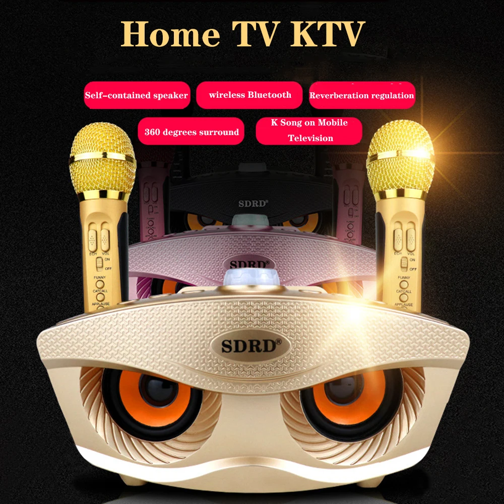 SD306 спортивный bluetooth-динамик с 2 беспроводными микрофонами Открытый Семейный KTV стерео микрофон большой звук 20 Вт SDRD Sd 306 динамик Набор