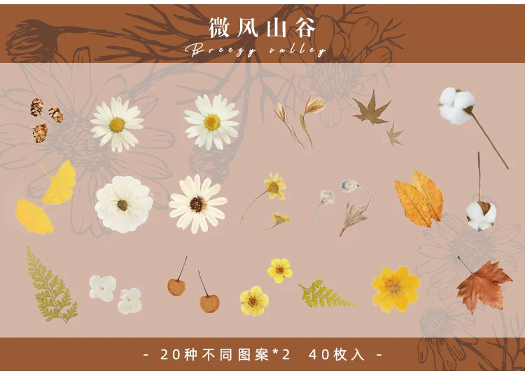 H7645353e363b4160a550fb2c719f0e5at