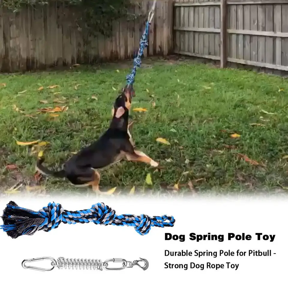 pitbull hanging toy