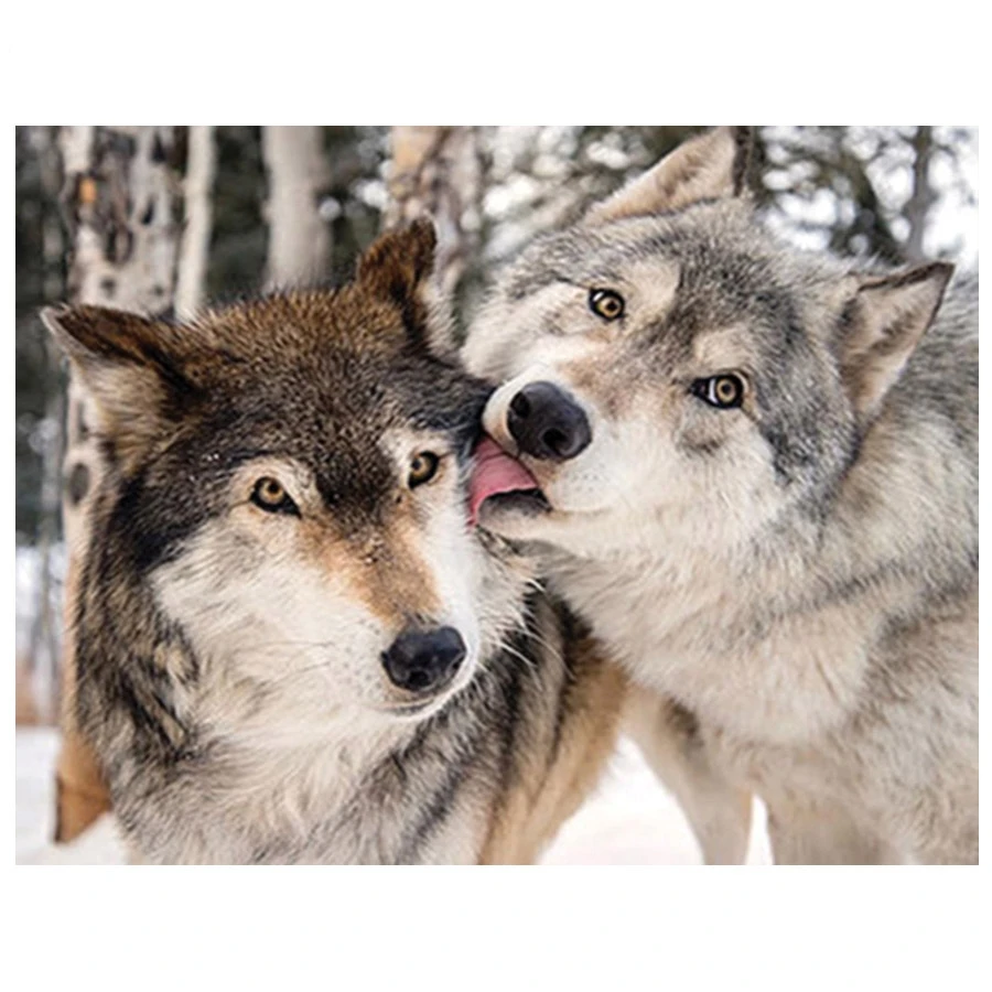 5D Diy Diamond Painting Wolf couple Animal Picture of Rhinestones Diamond Embroidery Mosaic square round full stones wallpaper_副本