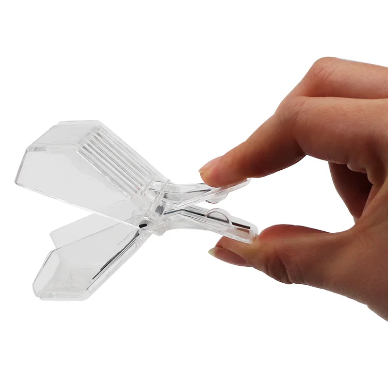 2 PCS Bee Tools Queen Cage Beekeeping Equipment Isolation Room Insectary Box Clip Colorless Plastic Bee Clip
