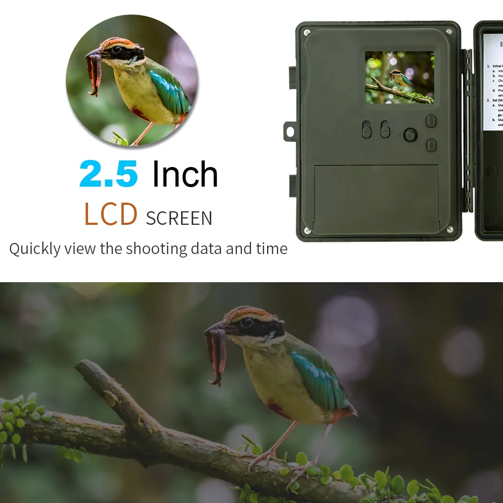 12MP 1080P 2G 3g MMS SMS Trail and Game охотничья камера наружная Водонепроницаемая скаутская камера для дикой природы 20 м Диапазон ночного видения
