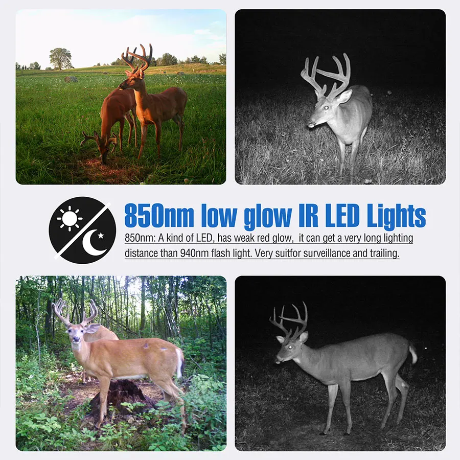 LY54-K24M-huntingcameradescription3