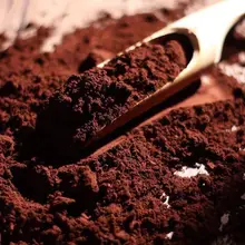 Грибной Spore Порошок Стена-сломанный чистый Ганодерма лисидум Non-GMO