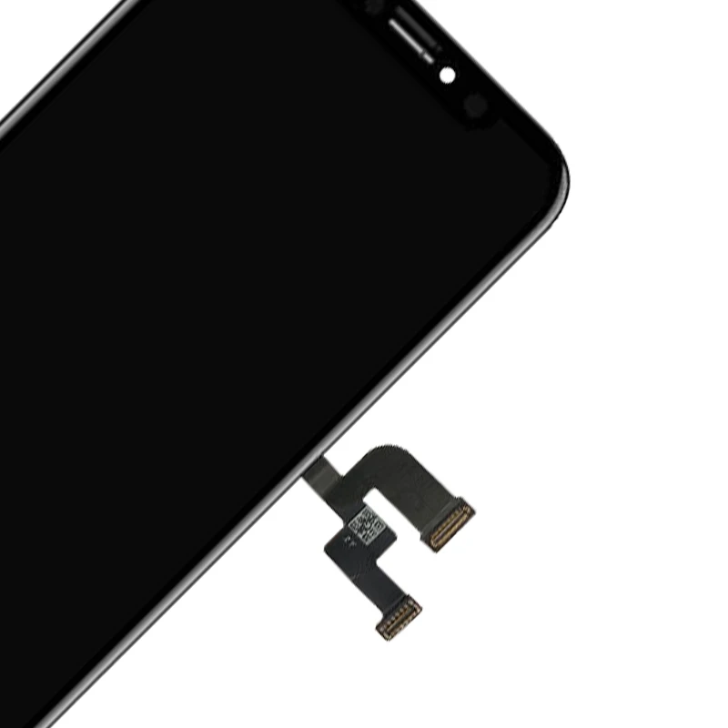 z6