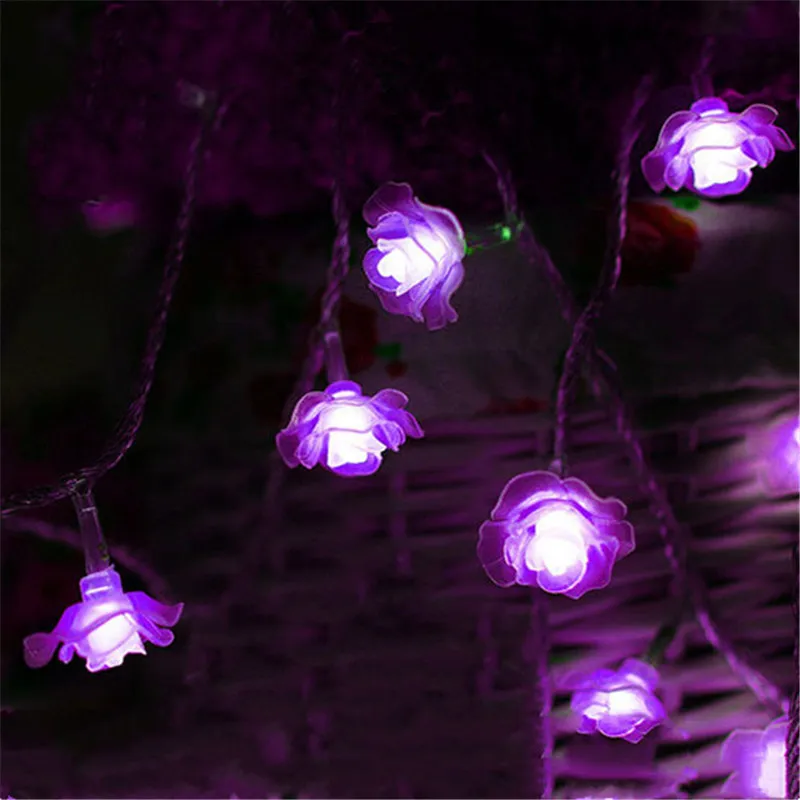 4558701364_957217330