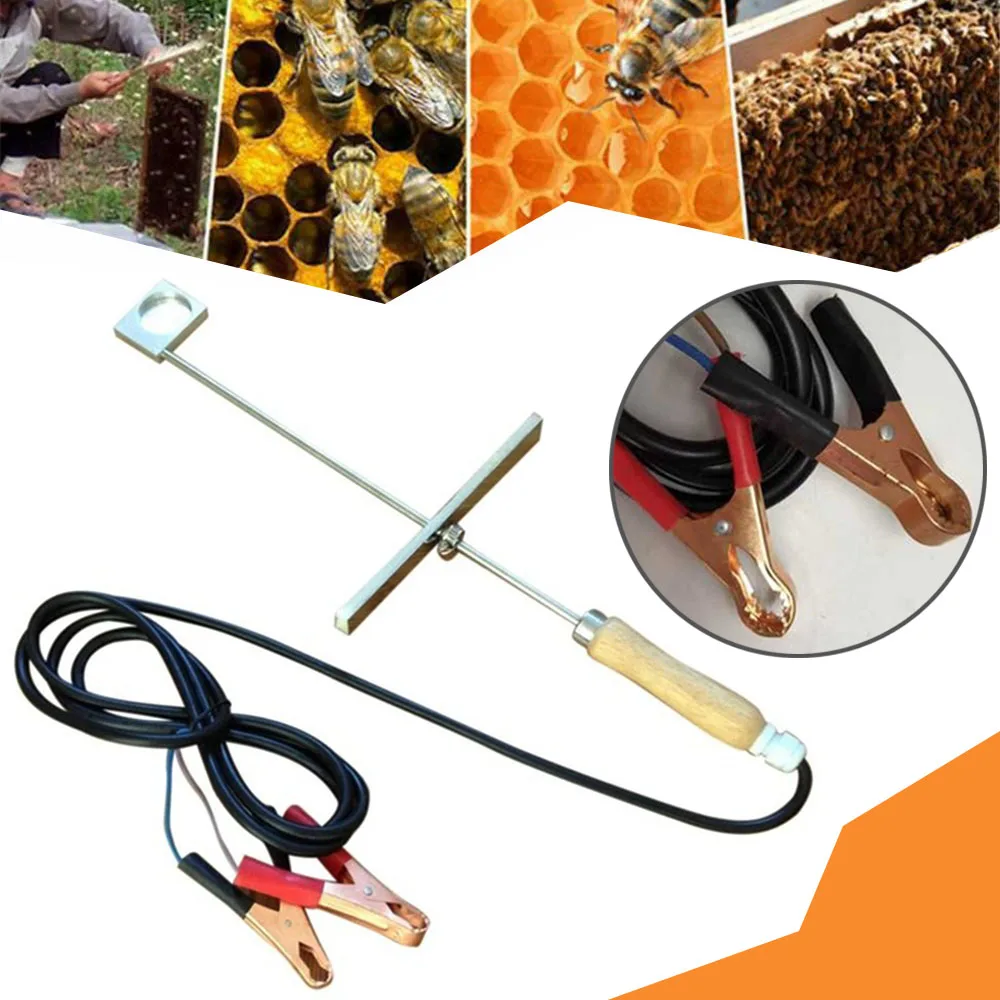 1 Набор, 12 В, пчелиный испаритель, пчелиный испаритель, щавелевая кислота, испаритель, варроа для лечения, принадлежности для пчеловодства, инструмент
