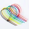 30pcs Self Locking Nylon Cable Ties 3 x 100mm Plastic Zip Tie Band Wire Binding Wrap Straps DIY Cable Fasten Organiser Colorful ► Photo 2/6