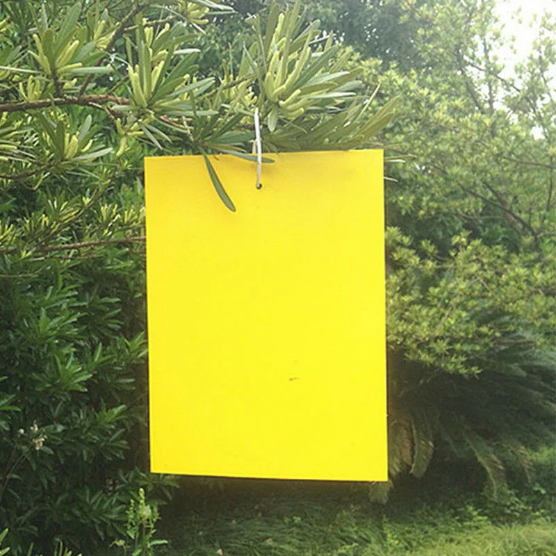 

5-100pcs/set Sticky Glue Papers Insect Trap Catcher Killer Fly Aphids Wasp Kit Protect Catching Aphids